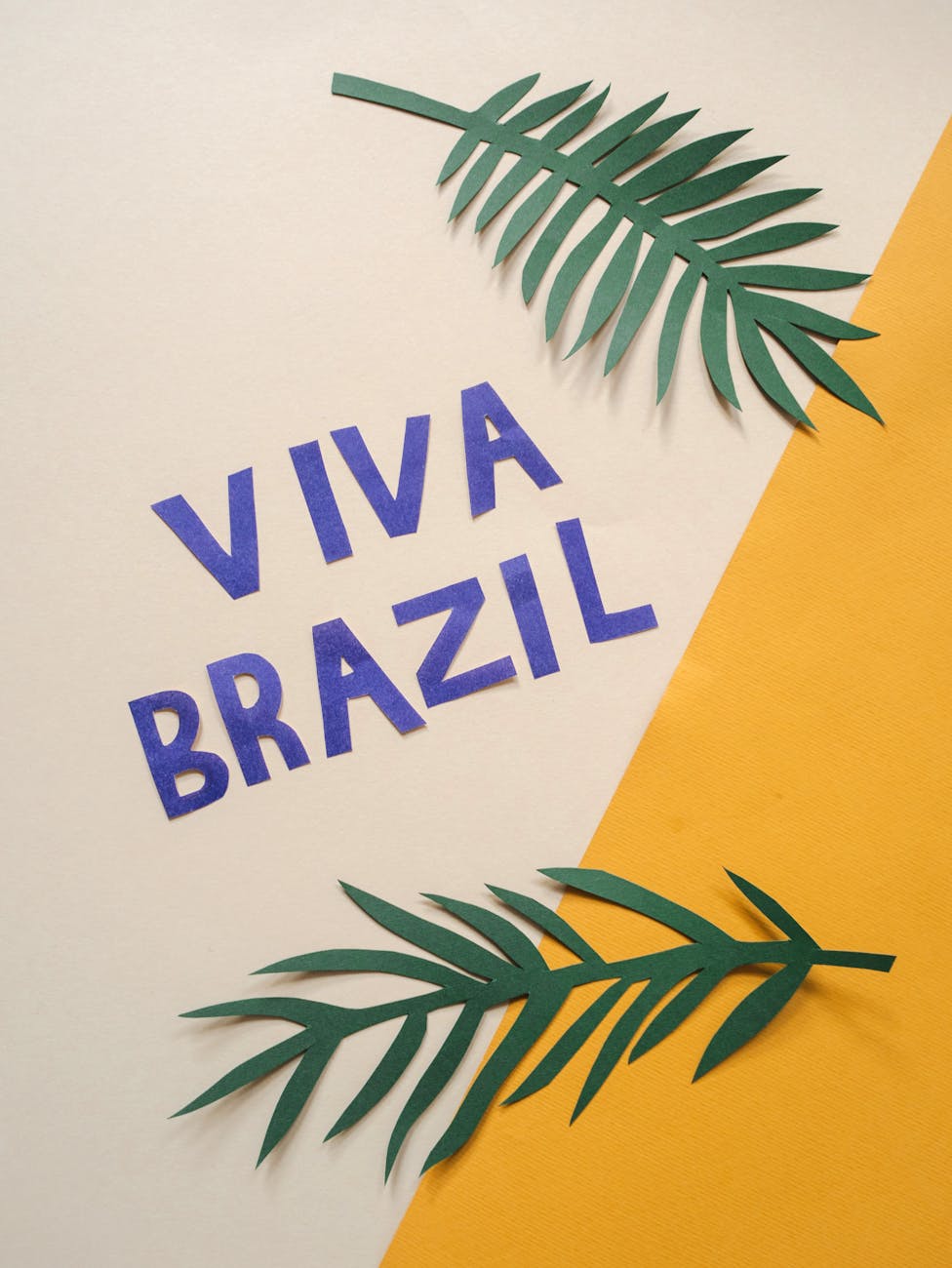Before Moving to Brazil: Mental Health, Expectations, and Emotional Preparation