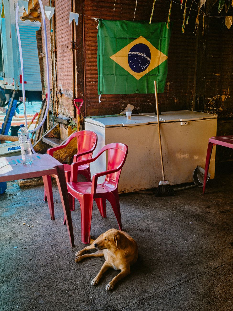 O luto por um Brasil que já não existe do jeito que você lembra